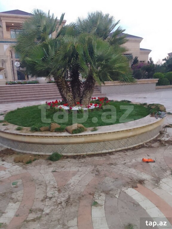 Bağban işi axtarıram (20)