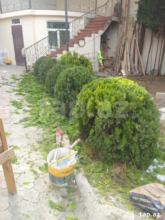 Bağban işi axtarıram (21)