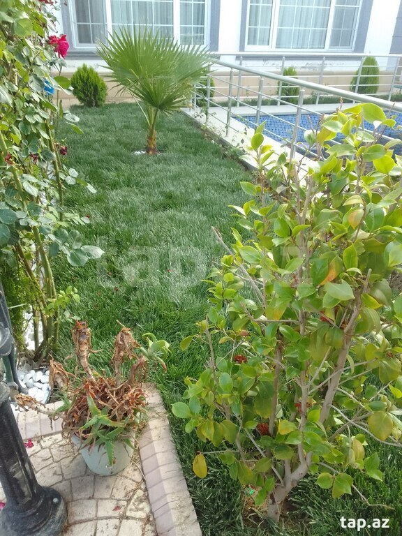 Bağban işi axtarıram (27)