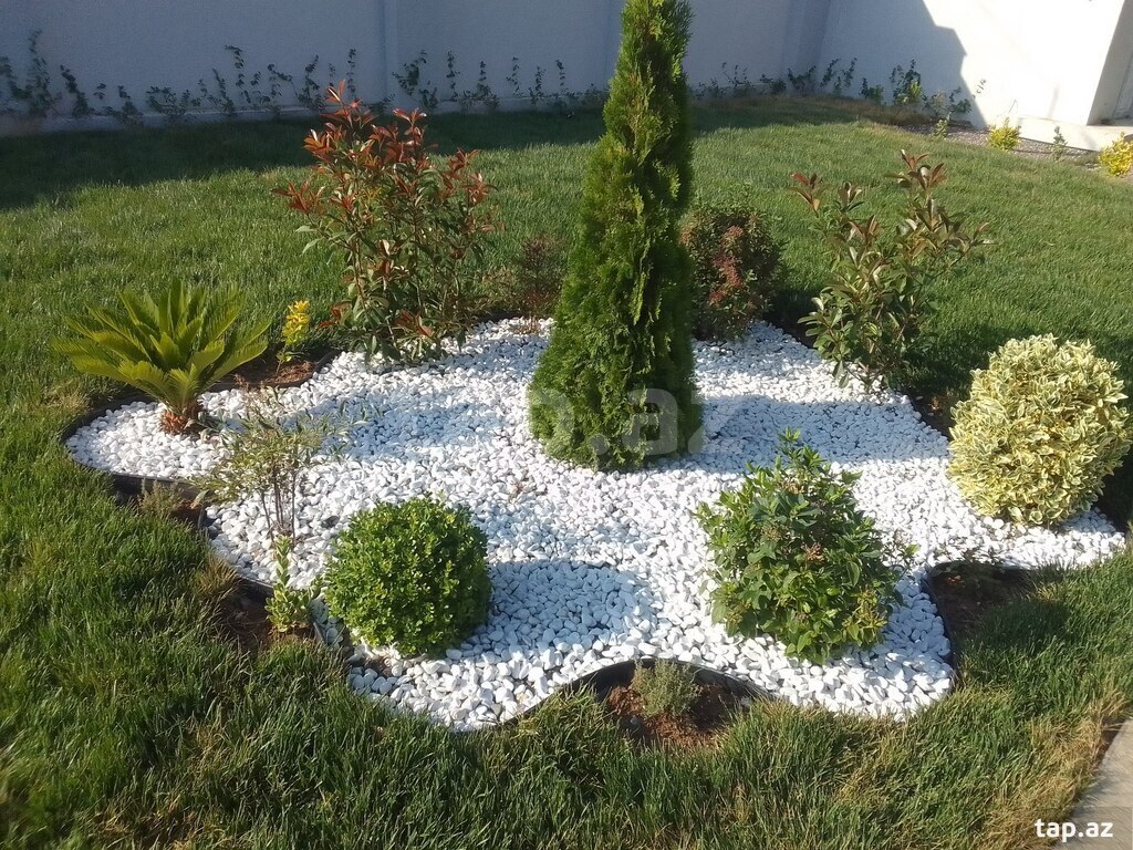 Bağban işi axtarıram (35)