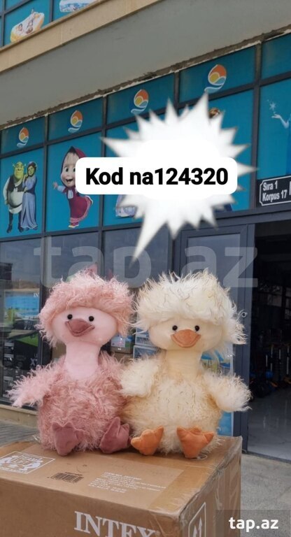 Oyuncaq ördək