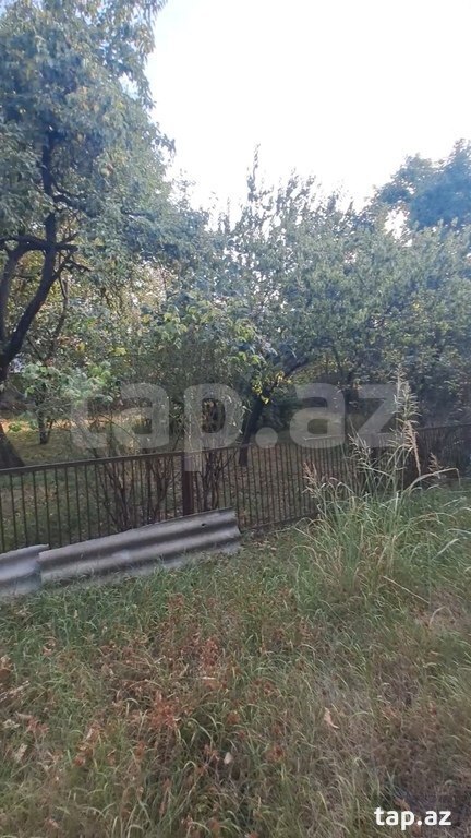 Həyət evi, Şəki ş. (4)