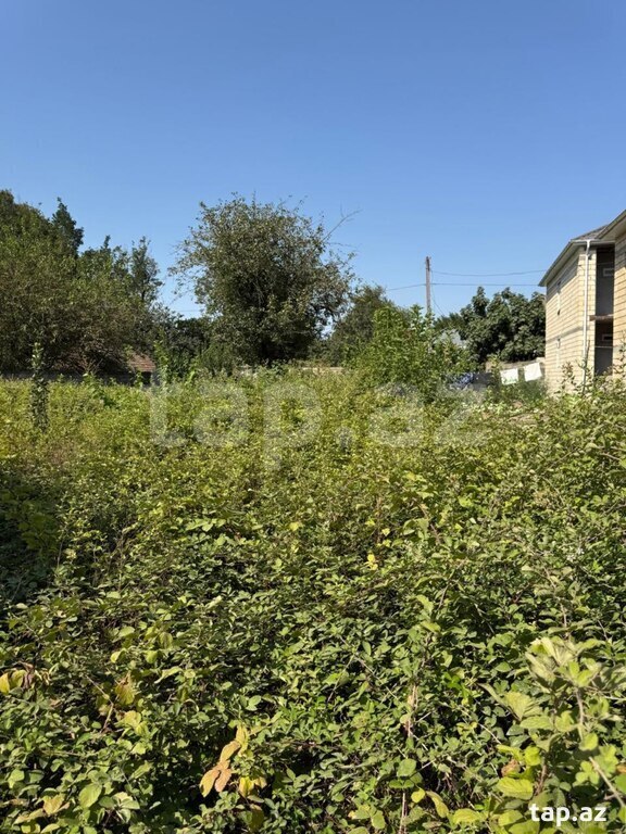 4 sot torpaq sahəsi, Masallı r.