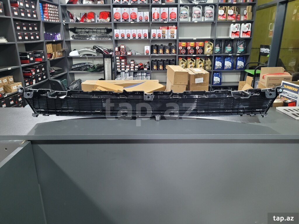 "BYD Destroyer 05" radiator barmaqlığı (3)