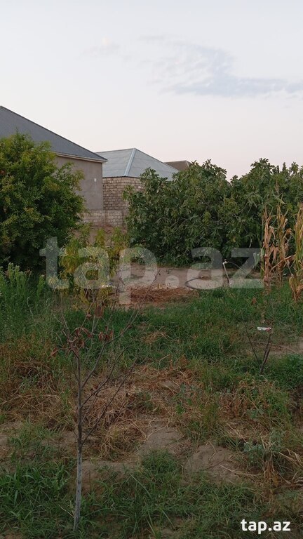 Torpaq satılır, Bilgəh, Bakı