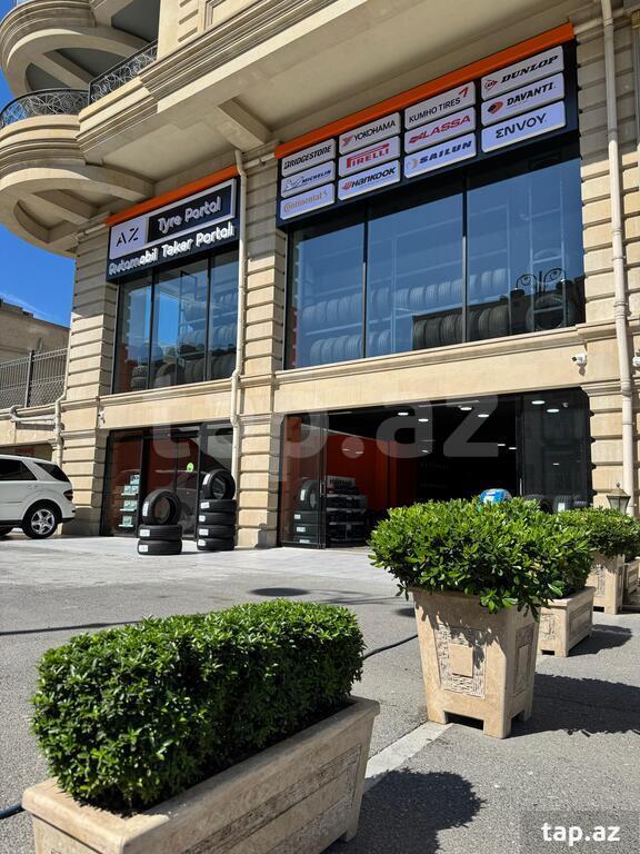 "SAILUN ATREZZO ZSR 97W XL" şinləri 215/55 R16 (3)