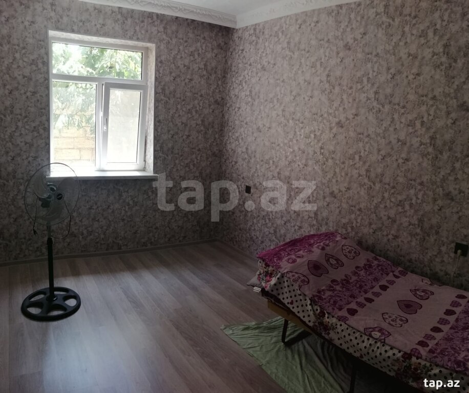 Həyət evi, Saray qəs.