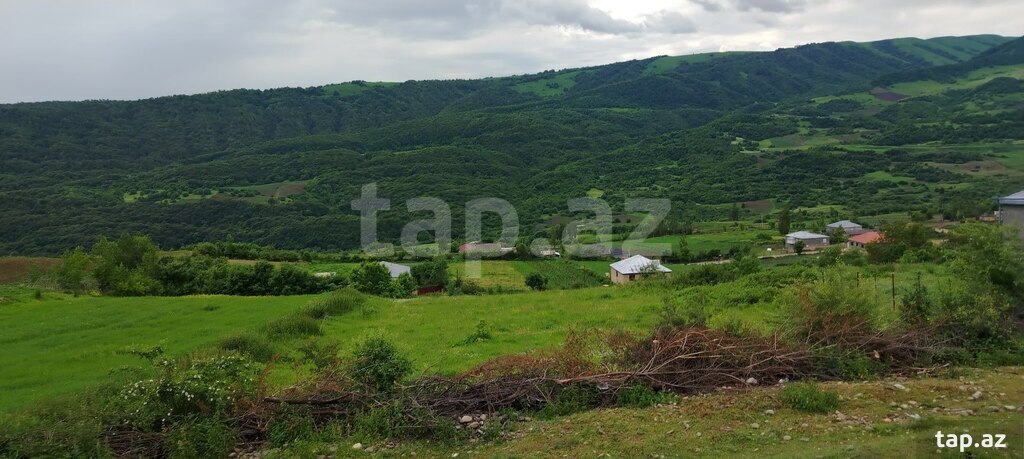 20 sot torpaq sahəsi, Qusar r. (2)