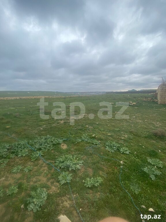 Torpaq satılır, Bakı