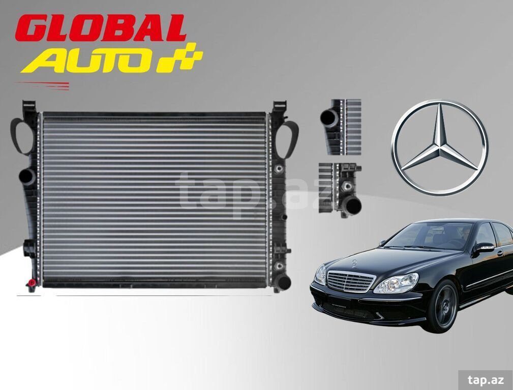"Mercedes S-Class W220" su radiatoru