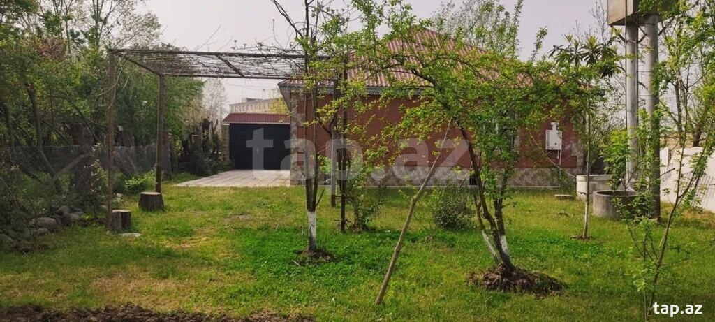 Bağ evi kirayə verilir, Lənkəran ş. (4)
