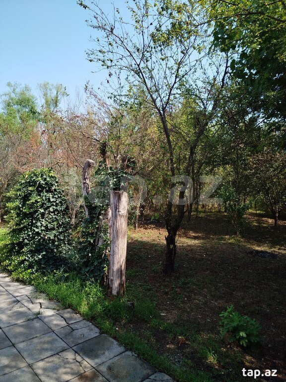 Bağ evi kirayə verilir, Lənkəran ş. (18)