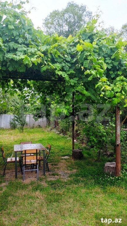 Bağ evi kirayə verilir, Lənkəran ş. (23)
