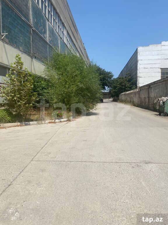 Obyekt icarəyə verilir, Babək pr. (2)