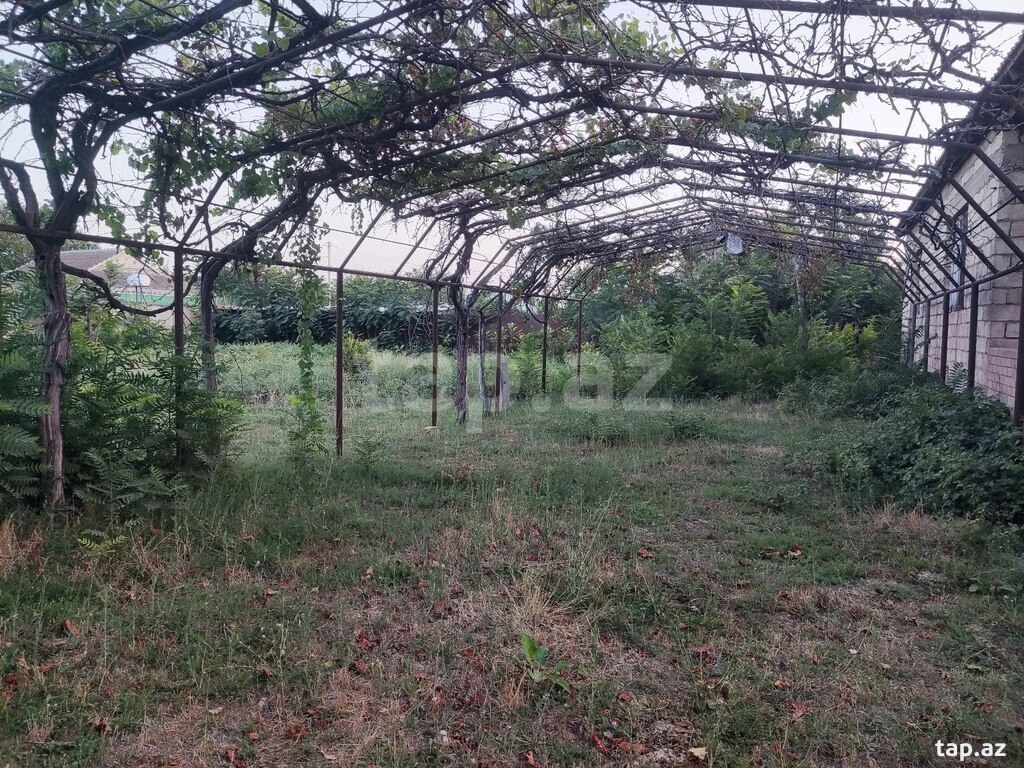 Həyət evi, Beyləqan r.