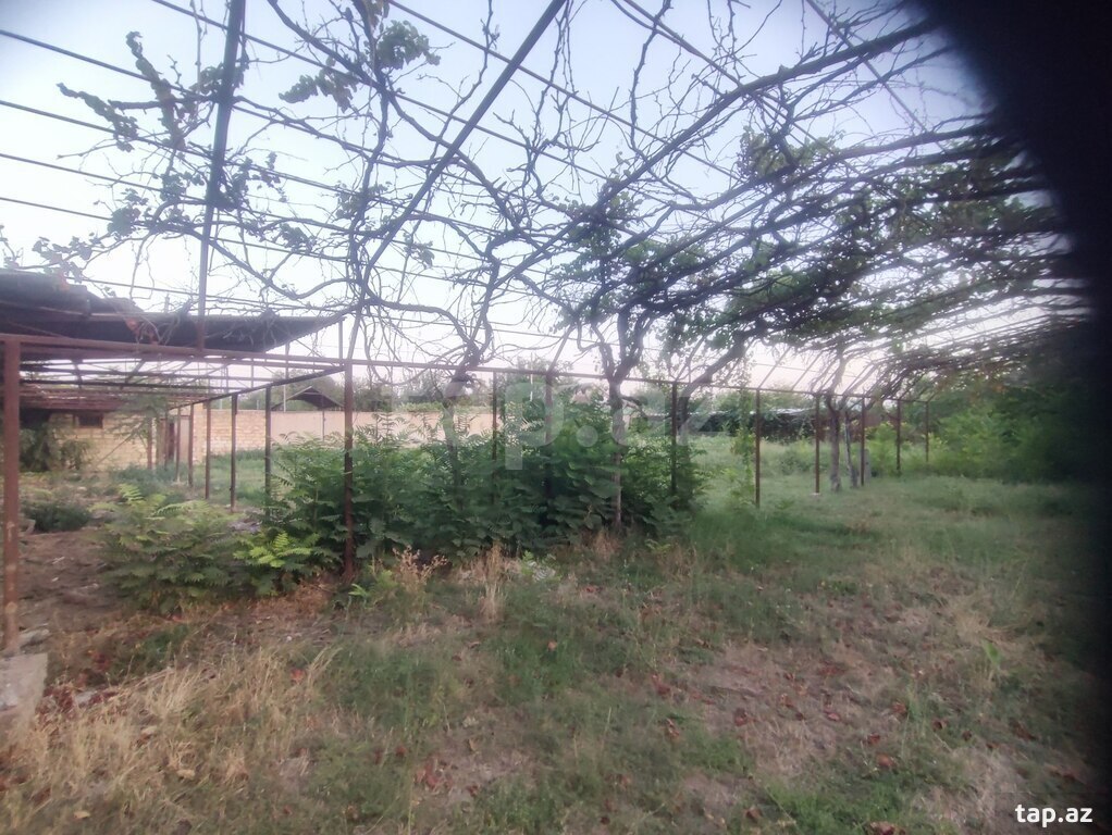 Həyət evi, Beyləqan r.
