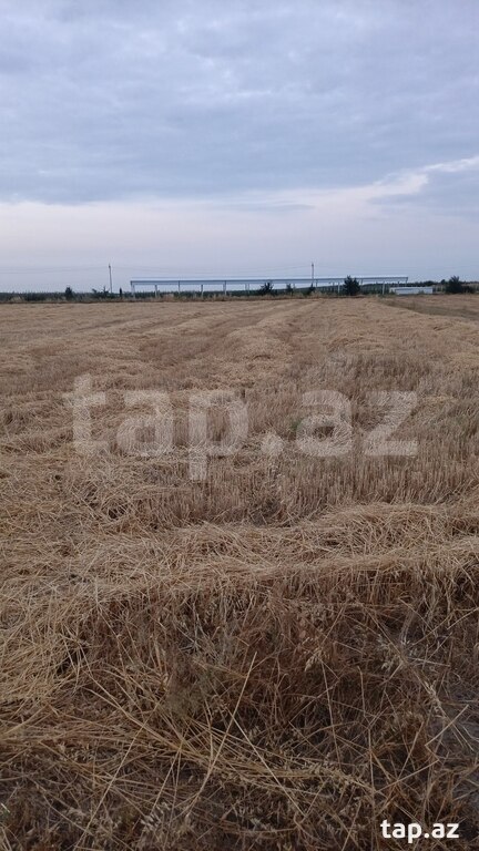 150 sot torpaq sahəsi, Qusar r. (2)