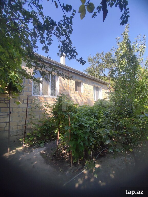 Həyət evi, Şəki ş.