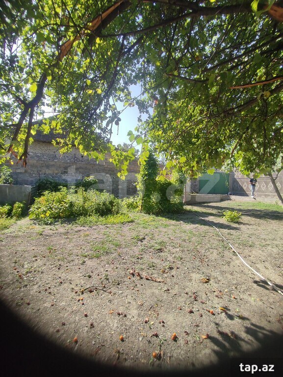 Həyət evi, Şəki ş.