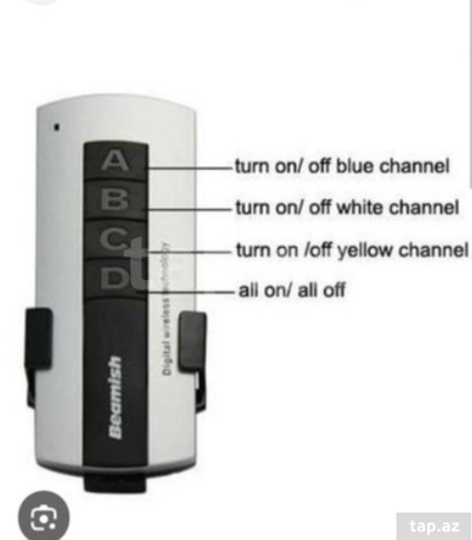 Pult