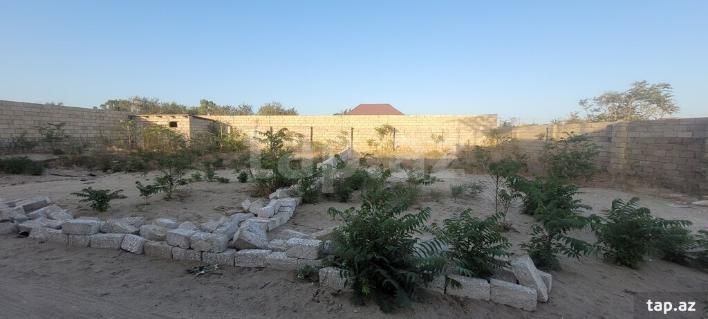 5 sot torpaq sahəsi, Nardaran qəs. (3)