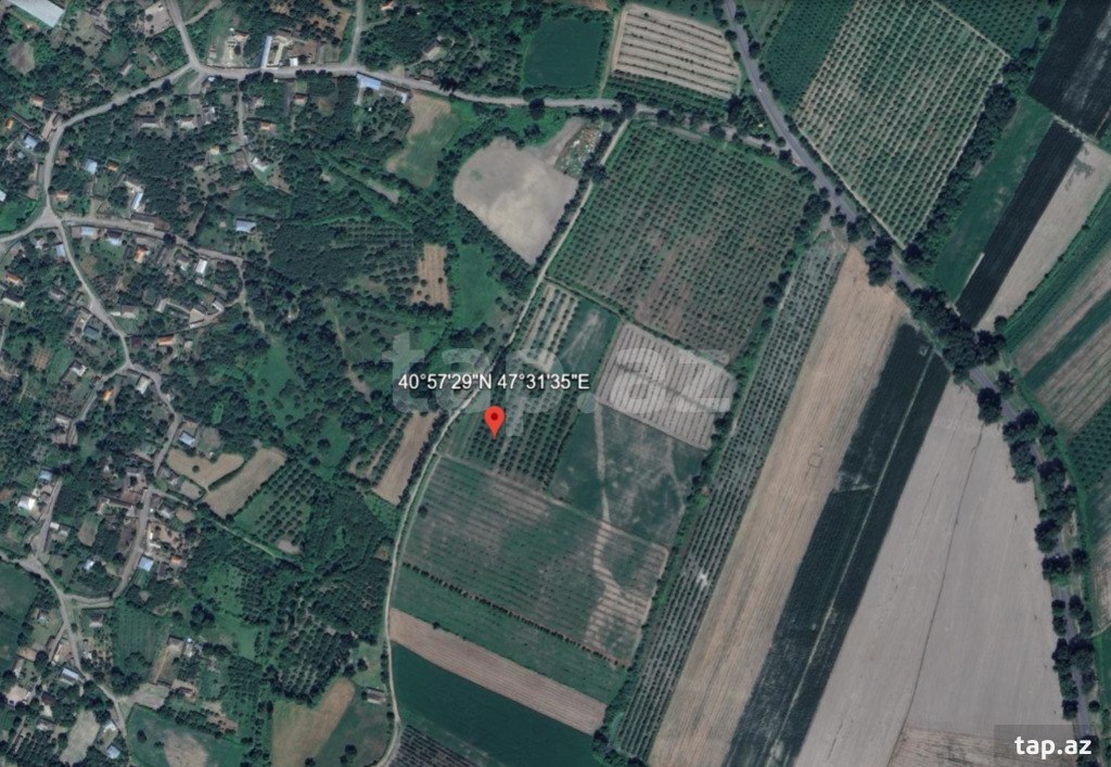 465 sot torpaq sahəsi, Oğuz r.