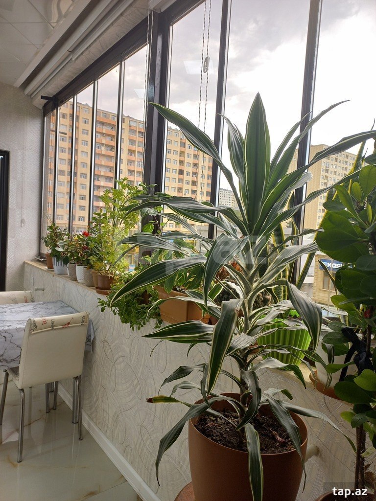 3-otaqlı yeni tikili, Mehdi Hüseynzadə küç., 90 m²