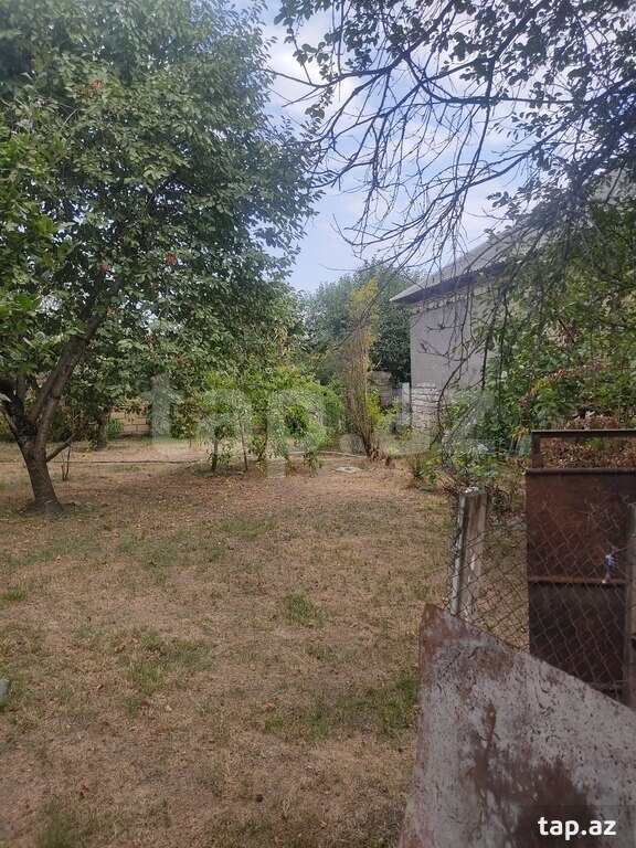 Həyət evi, Qəbələ ş.