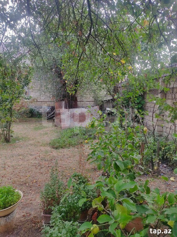 Həyət evi, Qəbələ ş.