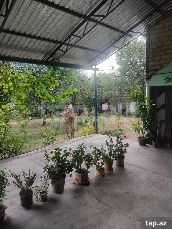 Həyət evi, Qəbələ ş.