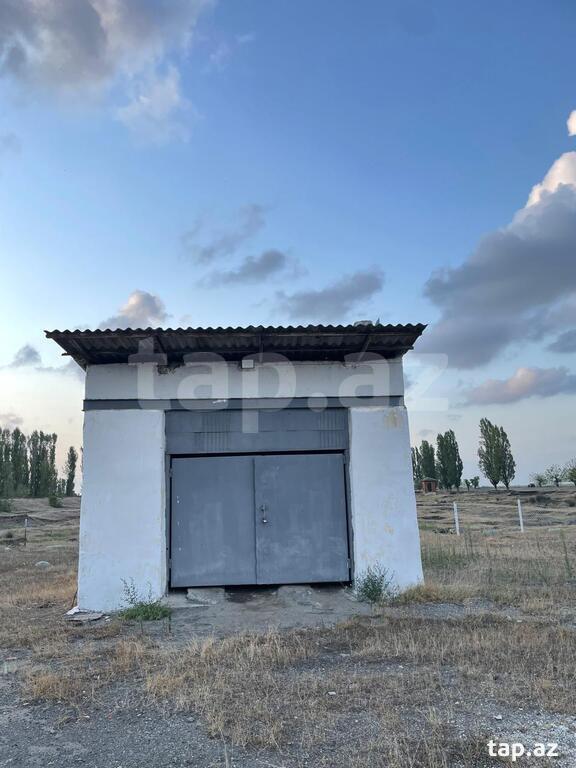 Obyekt icarəyə verilir, Lənkəran ş. (3)