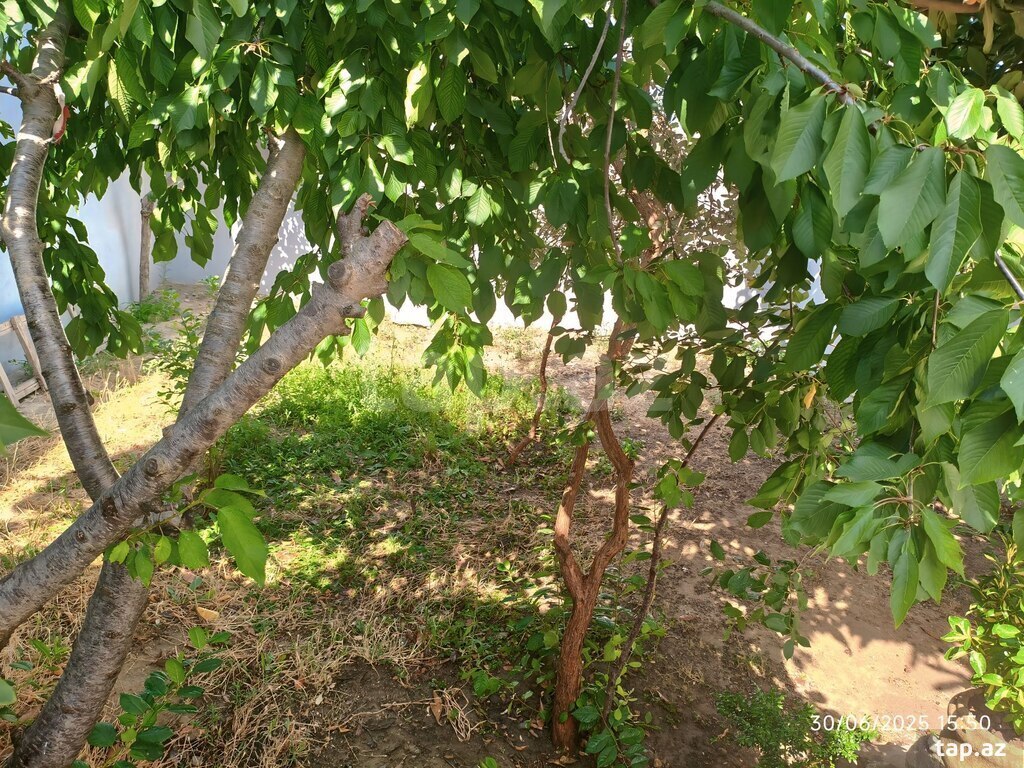 Həyət evi, Yeni Ramana qəs. (29)