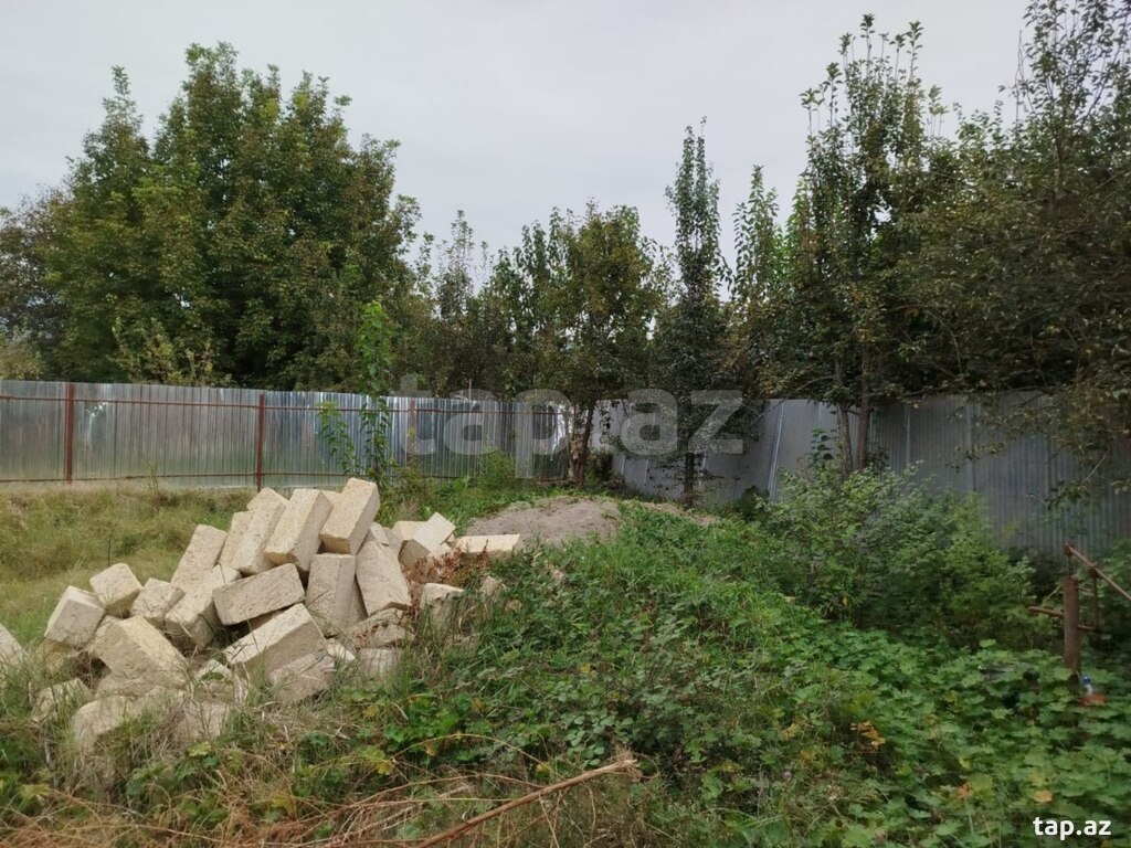 4 sot torpaq sahəsi, İsmayıllı r. (8)