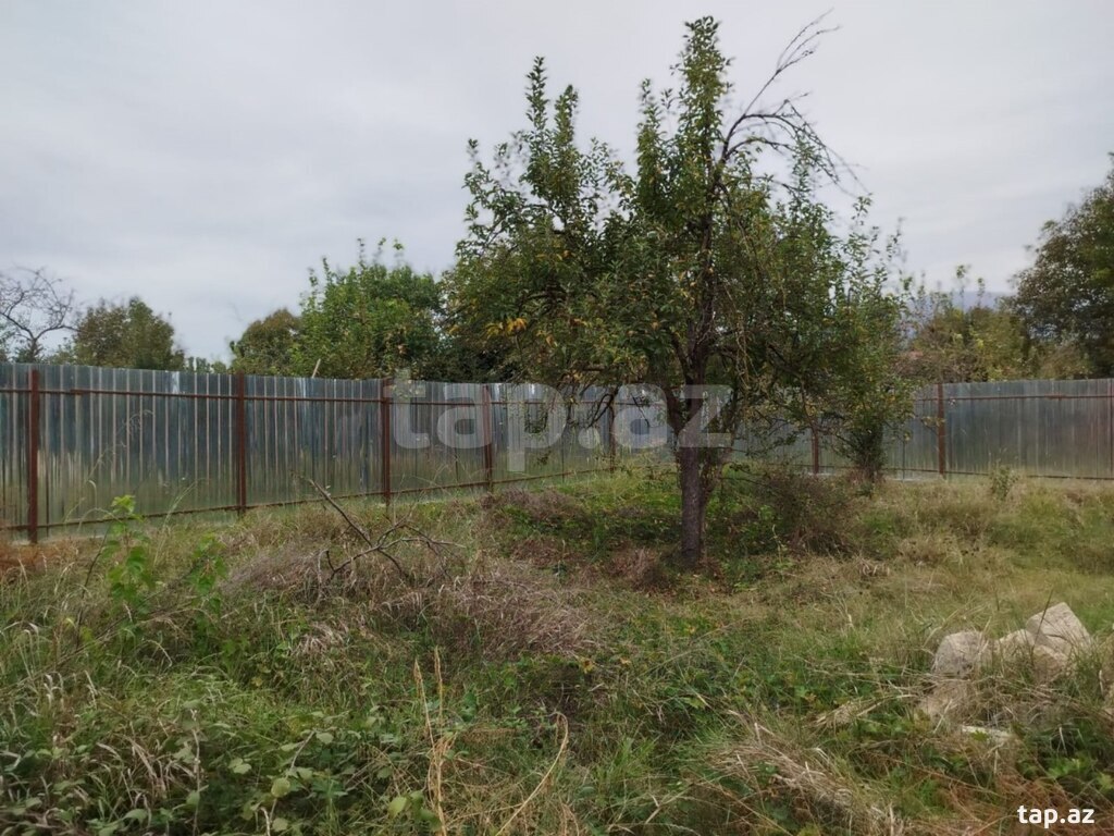 4 sot torpaq sahəsi, İsmayıllı r. (5)