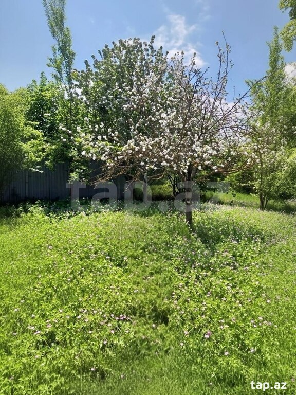 4 sot torpaq sahəsi, İsmayıllı r. (18)