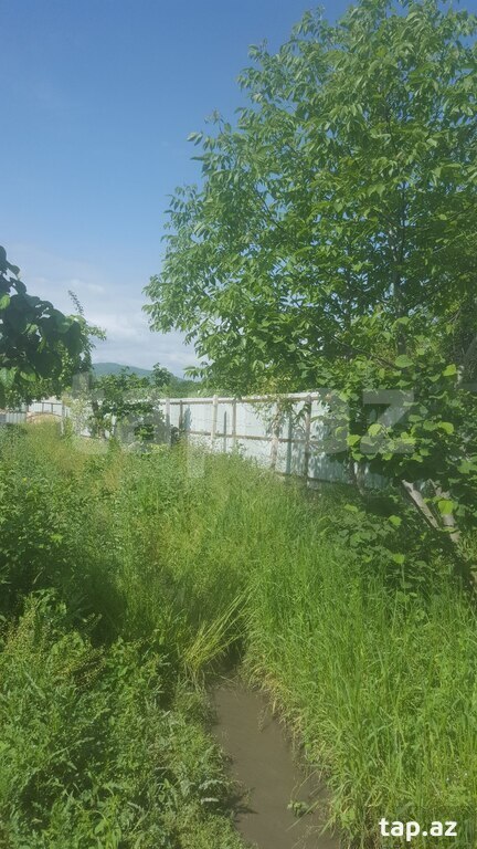 Bağ evi, Şabran r. (4)