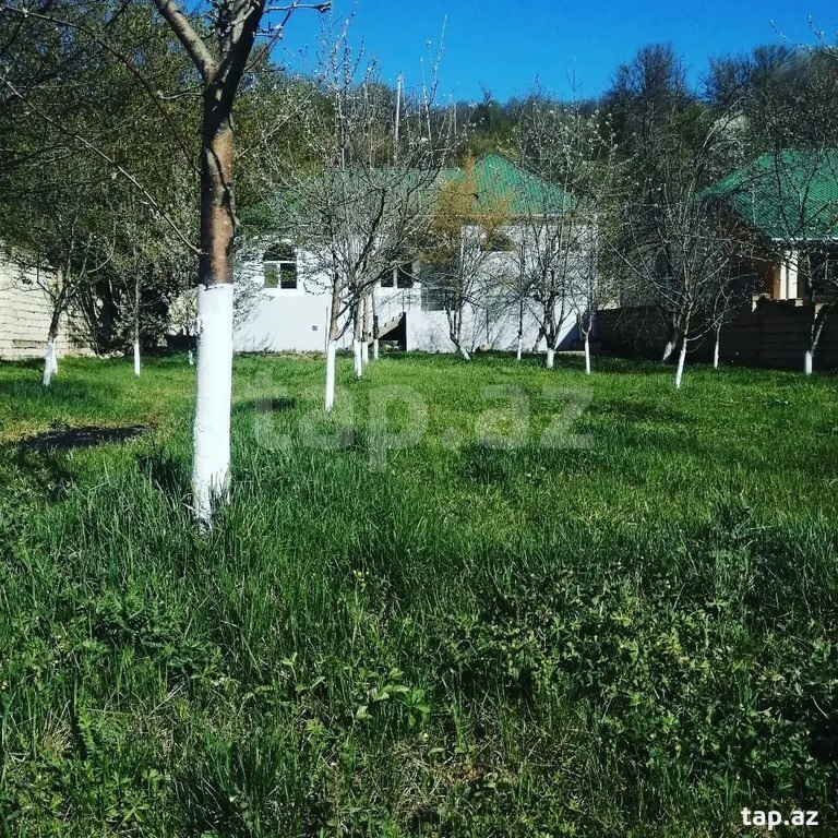 Həyət evi kirayə verilir, Quba r.