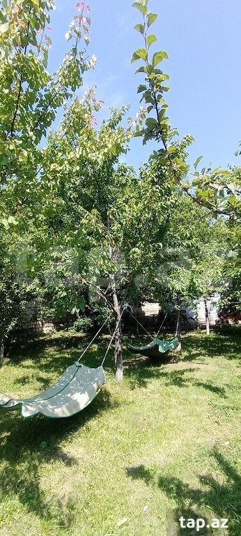 Həyət evi kirayə verilir, Quba r.