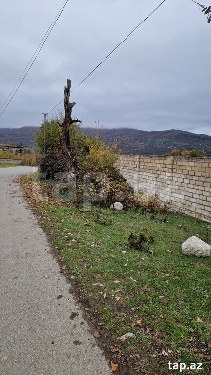 12 sot torpaq sahəsi, Quba r. (5)