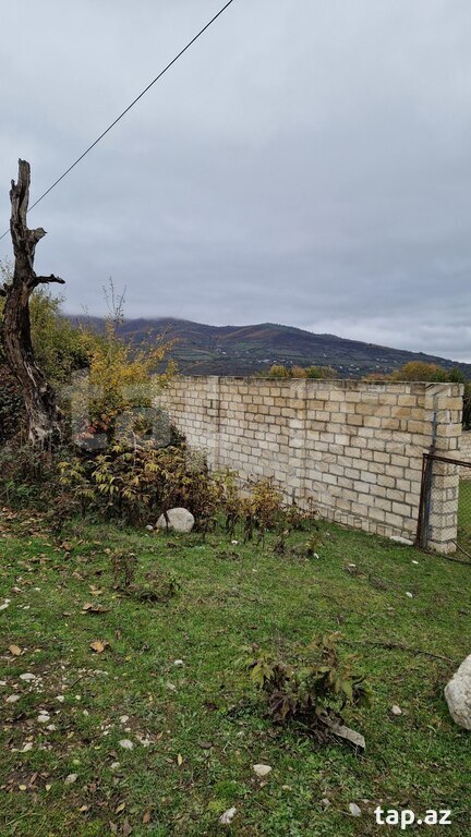 12 sot torpaq sahəsi, Quba r. (6)