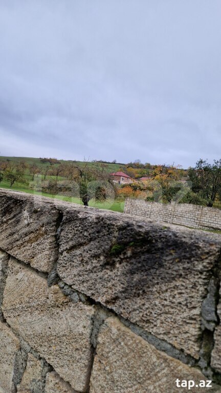 12 sot torpaq sahəsi, Quba r. (10)