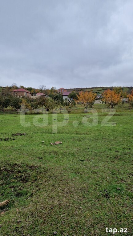 12 sot torpaq sahəsi, Quba r. (13)