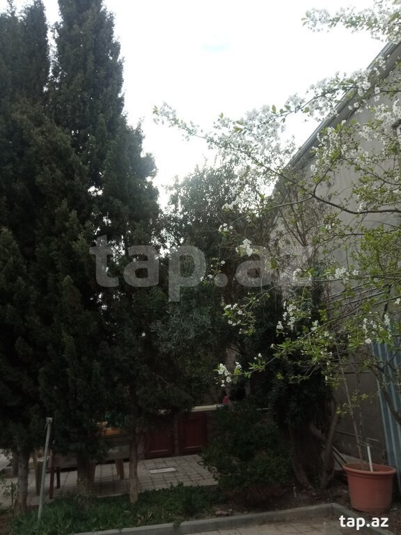 Bağ evi, Buzovna qəs. (16)