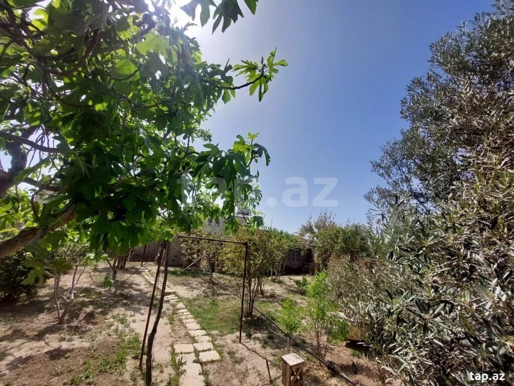 Bağ evi, Yeni Ramana qəs.