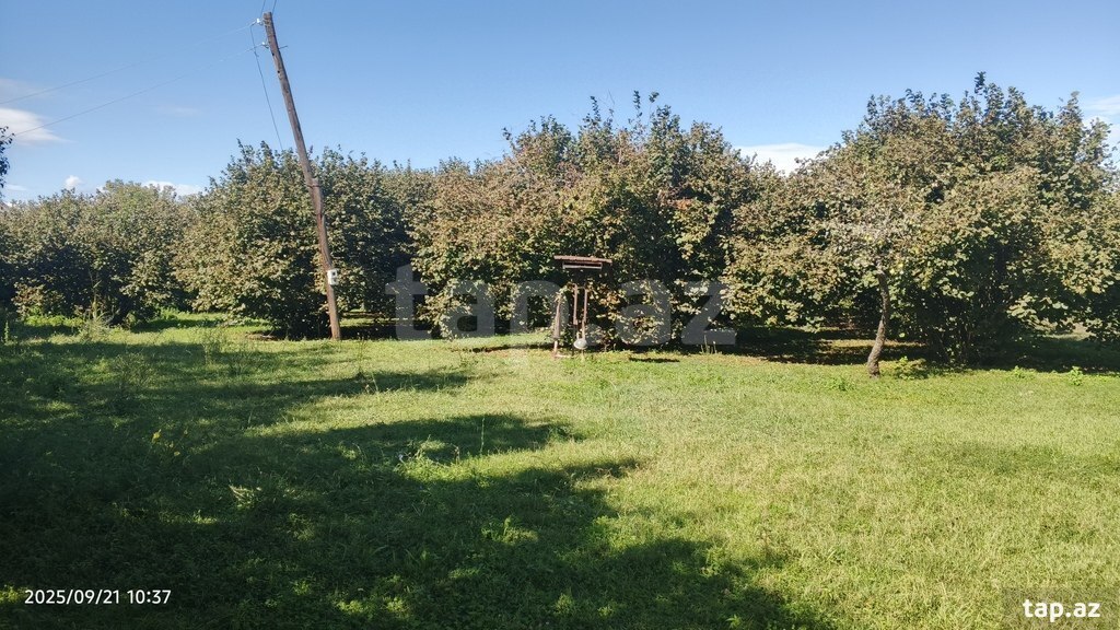 Həyət evi, Zaqatala r. 