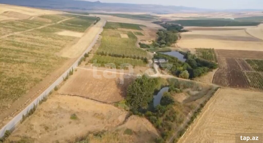 4000 sot torpaq sahəsi, Şamaxı r.