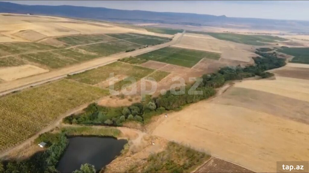 4000 sot torpaq sahəsi, Şamaxı r. (8)