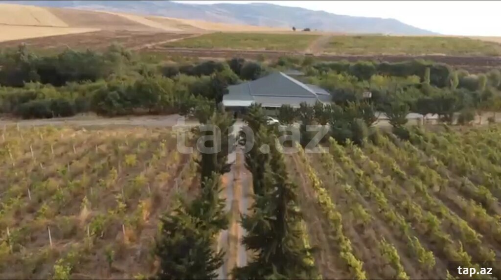 4000 sot torpaq sahəsi, Şamaxı r. (5)