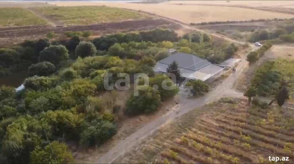 4000 sot torpaq sahəsi, Şamaxı r. (7)
