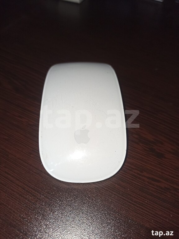 Apple Magic Mouse 1 (2)